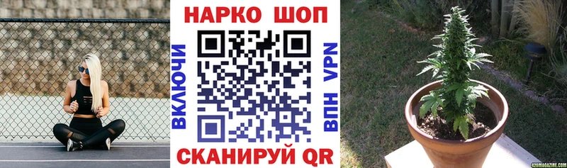 Купить наркотик аптеки Сенгилей ГАШИШ  ТГК  ссылка на мегу ссылки  Конопля  Меф мяу мяу  А ПВП  Псилоцибиновые грибы 