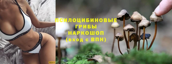 герыч Бугульма
