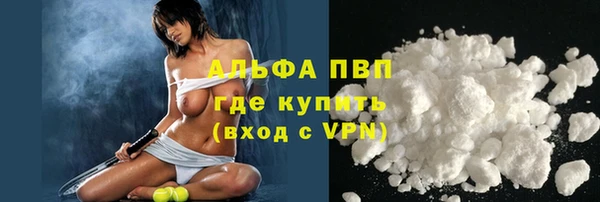 ПСИЛОЦИБИНОВЫЕ ГРИБЫ Богданович