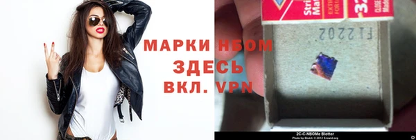 прущие грибы Бородино