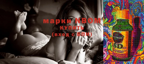 ПСИЛОЦИБИНОВЫЕ ГРИБЫ Богданович