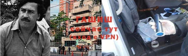 прущие грибы Бородино