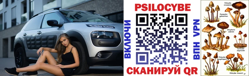Псилоцибиновые грибы мухоморы мориарти телеграм Сенгилей